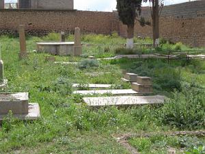 TELAGH LE CIMETIERE 23